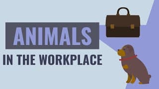 Animals in the Workplace